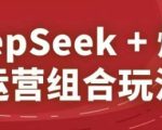 DeepSeek+爆品运营组合玩法，2025淘系精品课