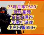 25年独家CSGO挂G搬砖，全自动操作，无需打游戏，小白日入3张+【揭秘】