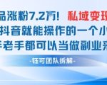 抖音私域项目23条作品涨粉7.2W，私域变现1W