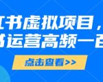 小红书虚拟项目，小红书运营高频一百问【文档】