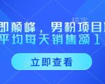 重回即颠峰，男粉项目重磅回归，平均每天销售额1-4W