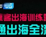 出海训练营基础课，​跑通出海全流程，实战案例拆解