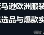 跨境电商选品案例24-25年，聚焦跨境电商选品策略与运营优化，助力卖家挖掘蓝海市场