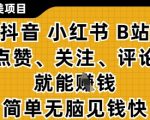 小而美的项目，抖音小红书B站视频点赞、关注、评论就能挣钱，简单无脑立见收益，妥妥的零撸项目【揭秘】
