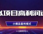 虚拟项目高利润选品方法，做好单店利润1W+，可多店倍增利润