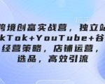 跨境创富实战营，独立站+TikTok+YouTube+谷歌广告，经营策略，店铺运营，精准选品，高效引流