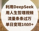 利用DeepSeek用人生哲理视频，流量条条过万，单日变现数张