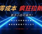 利用小红书种草知乎漏洞，零成本疯狂拉新日入数张，新手小白可操作