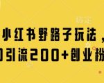 最新小红书野路子玩法，单日引流200+创业粉