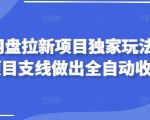 2025网盘拉新项目独家玩法，靠主项目支线做出全自动收益