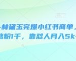 即梦+林黛玉完爆小红书商单，3天涨粉1千，靠怼人月入5k+