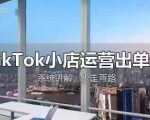 TikTok小店运营出单课，从开店选品、运营出单、发货回款，进行全流程讲解