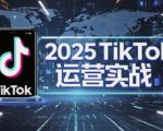 2025TikTok电商运营，掌握TikTok店铺运营核心技巧，实现低成本高转化