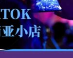 Tiktok东南亚跨境小店运营班，一门专业的TK小店运营培训课