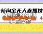 2025年淘宝无人直播带货10.0.全新技术，不违规，不封号，纯小白操作，日入数张【揭秘】