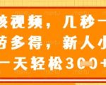 最新审核视频，几秒一单，多劳多得，新人小白一天轻松3张【揭秘】