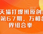 淘宝天猫打爆班原创高阶技术第67期，万相台无界组合拳