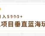 虚拟项目垂直玩法，实现单店月入5k+