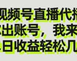 视频号直播代播，你出账号我来播，单日收益轻松几张【揭秘】