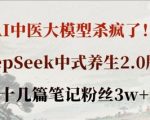 AI中医大模型杀疯了！DeepSeek中式养生2.0版本，十几篇笔记粉丝3w+